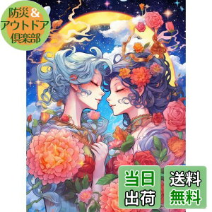 【送料無料】Reofrey ダイヤモンドの絵画 ダイヤモンドアート クロスステッチ キットアニメスタイル、カップル手作りキット全面貼り付けタイプ ビーズア DIY 手芸キットホーム レストラン ラ
