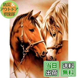 yzReofrey _Ch̊G n, _ChA[g NXXeb` Lbg , Lbg Sʓ\t^Cv r[YA DIY |Lbgz[ Xg CXg[ 