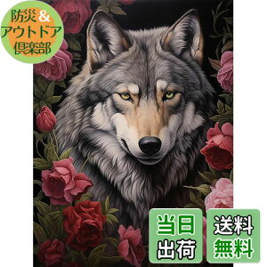 yzReofrey _Ch̊G T, _ChA[g NXXeb` Lbg , Lbg Sʓ\t^Cv r[YA DIY |Lbgz[ Xg CXg[ 