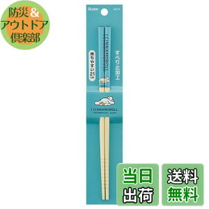 yzXP[^[(Skater) |S  | 21cm ACVi[  ANT4-A