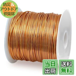 �y���������zwinova �G�i������ �|���E���^������ �}�O�l�b�g���C���[ 1UEW ���a0.5mm ������52m 100g �g�����X�p �����R�C���ɍœK