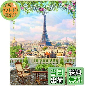 JISHSHAY _ChA[g lpr[Y 40x50cm _ChA[g i r[YA[g X̌iF 5D _ChA[g GbtF |Lbg ㋉ DIY _Chh _Ch