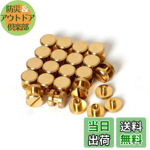 yzVJSXN[ 20 8×4×3mm ^JglW R` obO xg т傤 xbg X^bY p[c e xbg X^bh lW U[Ntg DIY nhCh p[