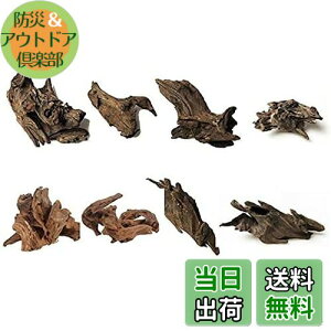 yz8 كVN R GCuؐ̑ i 8`10cmj