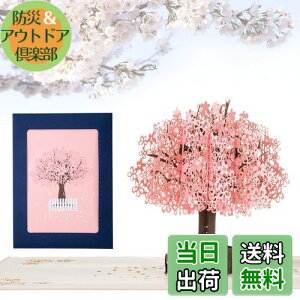 yzKesote bZ[WJ[h  ̃J[h |bvAbvJ[h o^C    t