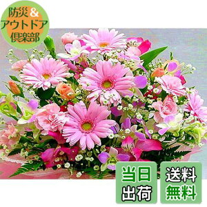 【送料無料】DIYクロスステッチキットダイヤモンド絵画5D塗装キット、ピンクの美しい花WOWDECORフルドリルDIYダイヤモンドアートペイント数字油絵 (フラワーズ)