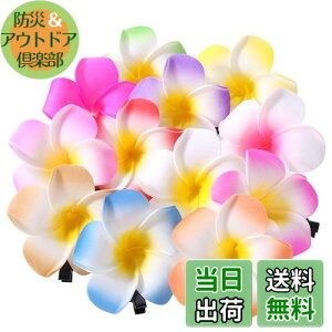 yzFrcolor  wAs wANbv  vA wAANZT[ wANbv nC  wbhhX 6cm 12F 24Zbg