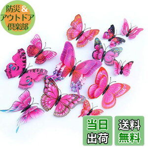 yzULIN  3D  EH[XebJ[ ǎV[  ʃe[v V[ rO ① CeA ǃV[  킢 EH[y[p[ |X^[ p[v