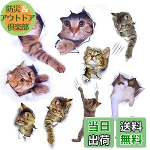 yzPazi EH[XebJ[ L   XebJ[ ˂ V[ 킢 3D ȒP DIY  \Ă͂  ǎ gC  Lb` CeA