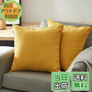 yzTopfinel NbVJo[ lۂ 45×45cm k  Ȗ n \t@w Jo[ zcJo[ CG[ 2ZbgiS10Fj