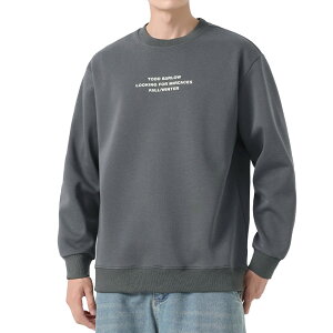 yz[Wisdom Wolf] XEFbgVc Y  n ێ  VGbg JWA H~  傫TCY g