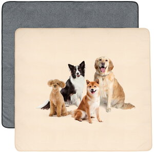 yz Lp􂦂ybgV[c pbh ybgp ~ }bg  ~߉H V[c @Ŋې JԂp\