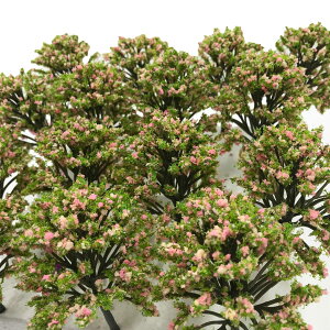 yzmDauStagen   | V̖   X ͌^ NQ[W WI} S z p  ~j`A