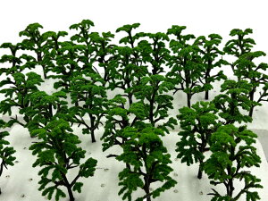 yzmDauStagen   | V̖   X ͌^ NQ[W WI} S z p  ~j`A