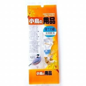 yzA^ BIRD HOUSE A-42 Ă̐e  X|Cg a