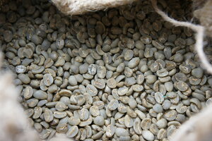 yzChlVA }f r^}yUSv~AzR[q[ O̔