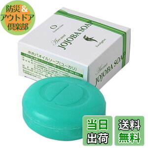 yzChalmers Dale zzoIC \[v 100VRzzoIC[Jtz A} Όie\[vjfP[g][ ێ 100g `}[Yf[ I[XgAY