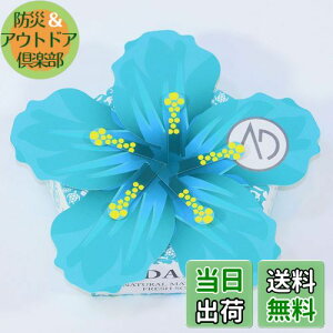 yzyANDANTEz΂ IWAKI SALT