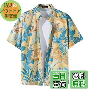 �y���������z[Moerstar] �A���n�V���c �����Y �A���n�V���c ���f�B�[�X �J�݃V���c ���� ���V���c �����Y �e�q�y�A���b�N ������ �������y�� �� ������� �r�b�` ���s ���F �F�F���F1123�A�T�C