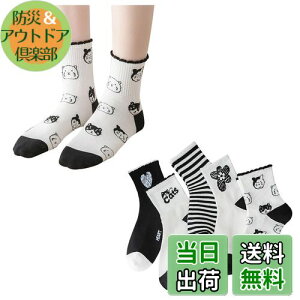 yz[FASELE] C fB[X  \bNX qp wlp\bNX N[\bNX  ԕ X|[c  Rbg  ʋC _炩 t H~ I[V[Y ~bh`