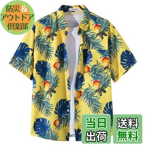 yz[Moerstar] AnVc Y 傫TCY AnVc fB[X J݃Vc  Vc Y N[  ʋC ĕ eqyAbN  rb` s C