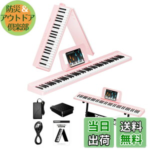 �y���������zTERENCE �d�q�s�A�m 88���� V20-Z �F�F�s���N�A�T�C�Y�F�R���p�N�g