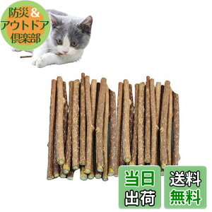 yzGOODCHI L_ } VR Y qL𚐂 얞 L̃N[jOXeBbN ރXeBbN 30{