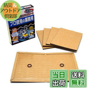 yzV(Takagi) S˂݂ƂV[g FFubNATCYF5