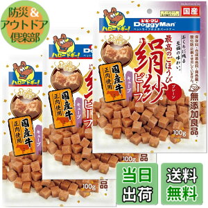 �y���������z�h�M�[�}�� ���p����� ���� �T�C�Y�F100gx3��