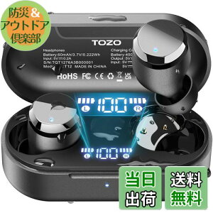 【送料無料】TOZO T12 ワイヤレスイヤホン 2025 極上の音体験 迫力かつ繊細な音 LEDディスプレイ電池残量表示 防水性能 ENCノイズキャンセリング カスタムEQ 専用アプリ対応 タッチ制御 最大約55