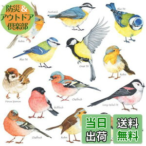 【送料無料】DECOWALL DS-8038 小鳥 (小) ウォール ステッカー デコ 幼稚園 保育園 子供部屋 DIY 用 壁転写 シール ウォールアート シール 男の子 女の子 10代 こども バスルーム デコレーション ビ