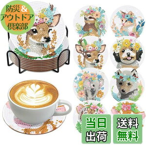 yzYOUSHYs[X _ChyCeBO R[X^[Lbg _ChA[g z_[t DIY (f)