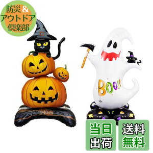 yzDFsucces nEB o[ 2 nEB  D ڂ S[Xg u  O  z[fR[Vp p[eB[ 