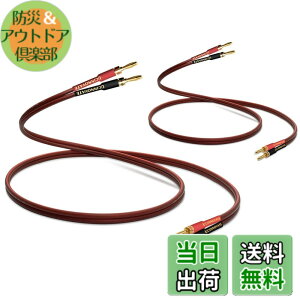 �y���������z�yUCINNOVATE�zOFC���_�f������ �X�s�[�J�[�P�[�u�� �o�i�i�v���O�t 2�{1�g �o�i�i�v���O���H�� �v���O �X�s�[�J�[ �P�[�u�� �����i 600�c(x2)���� Banana Plug�n���_�ς� �o�i�i�v���O 