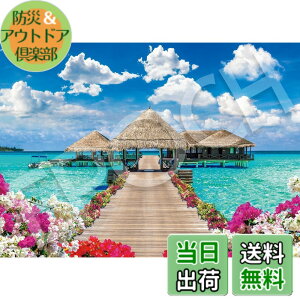 �y���������z�G�|�b�N�� 500�s�[�X �W�O�\�[�p�Y�� �C�O���i ���O�W���A���[�^�C���|�����f�B�u �i38x53cm�j 06-308s �̂�t�� �w���t�� �_�����t�� EPOCH