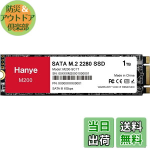 �y���������zHanye SSD 1TB ���� SATA M.2 2280 SATA III 6.0Gb/s M200 ���K�㗝�X�i ���[�J�[3�N