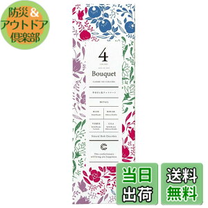 �y���������zCARRE DE 4 COLORS �J���h�t�H�[�J���[�Y 9������ �K����4�F�`���R���[�g �A�O������ 80g