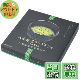 【送料無料】大邦物産 八女茶ラングドシャ 10個