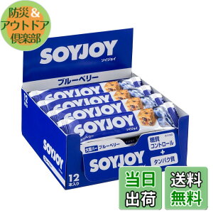 �y���������z�\�C�W���C ��ː��� �\�C�W���C �u���[�x���[ 30g x24��