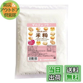 【送料無料】小笠原製粉 グルテンフリー 国産 米粉500g