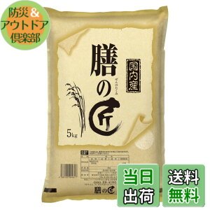 �y���������z�p�[�����C�X �����Y�V�̏� 5kg