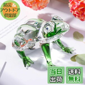 yzKertari K9NX^ JG uyKiz킢 CeA - O[