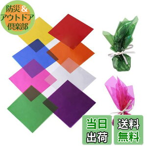 【送料無料】happykau セロファン カラーセロハン 8色 160枚セット 19x19cm 子供達の工作 DIY 装飾 梱包 卒業ギフトラッピング用 手芸 紙 フィルム (19x19cm*160枚)