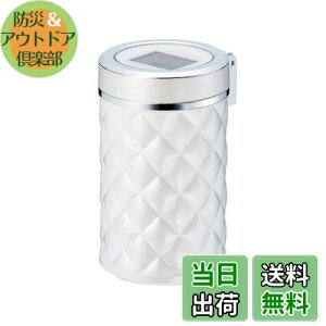 yzY EXEA ԓpi DM \[[LgAbV ED-234 zCg