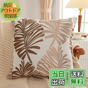 yzYunJeude NbVJo[ 45x45cm k 2Zbg Ȃƃl   t̕ WK[hD t@Xi[ CeA (45x45, R[q[)