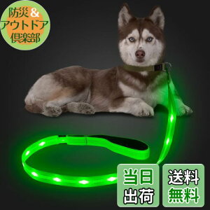 yzCandofly ˌ^ LED p[h - ÈłŌ錢p[h USB [dƖtp[vA4 tB[g̑ϋv̂ϐ_Ōp[hAybǧ̖̎Up ()