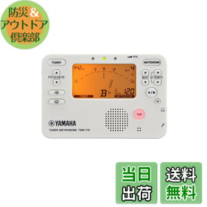 �y���������zYAMAHA TDM-710 �F�F�A�C�{���[