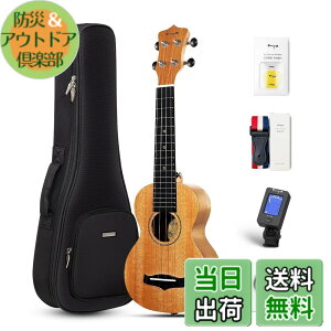 �y���������zEnya �}�z�K�j�[�E�N���� �F�F�؂̐F�\�v���m�E�N�����A�T�C�Y�F�\�v���m