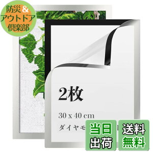 �y���������zLEADINTOP �_�C�������h�A�[�g �t�H�g�t���[�� 2�� �}�O�l�b�g�t�� 30 x 40 cm �_�C�������h�G��p �ǂ������Ȃ� ���ȔS���� �Ǌ|�� �f�B�X�v���C�t���[�� �ʐ^�t���[�� �\���� �|