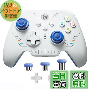 �y���������zPC �R���g���[���[�ABIGBIG WON Rainbow 2 SE ���C�����X �R���g���[���[ ���[�V���� �R���g���[���A�z�[�����ʃg���K�[�A12 �r�b�g ADC�A�W���C�X�e�B�b�N 3 �Z�b�g�A4�����\���L�[�A8